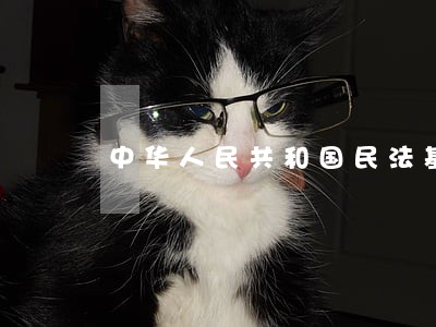 中华人民共和国民法基本问题 中华人民共和国民法基本问题