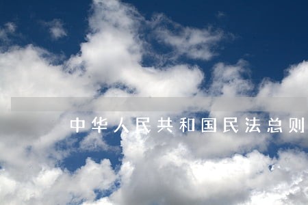 中华人民共和国民法总则条款 中华人民共和国民法总则条款