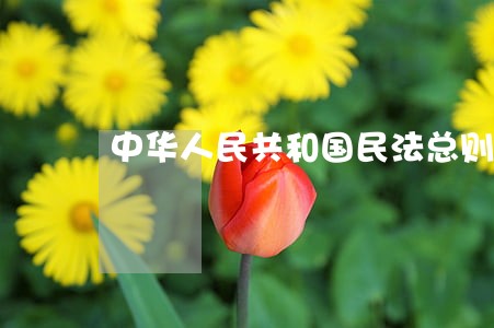 中华人民共和国民法总则规定 中华人民共和国民法总则规定