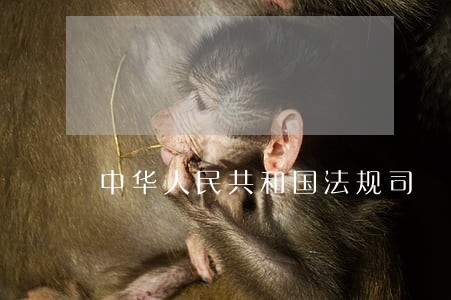 中华人民共和国法规司 中华人民共和国法规司