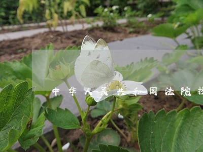 中华人民共和国法院投诉电话 中华人民共和国法院投诉电话