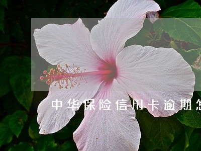 中华保险信用卡逾期怎么办 中华保险信用卡逾期怎么办