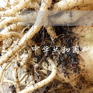 中华共和国刑法释义