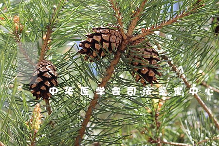 中华医学会司法鉴定中心地址 中华医学会司法鉴定中心地址