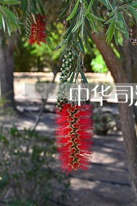 中华司法研究会 中华司法研究会