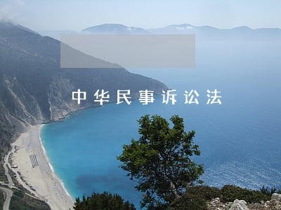 中华民事诉讼法