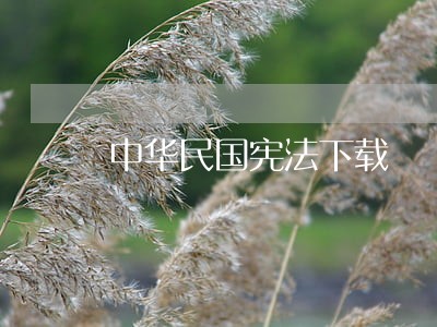 中华民国宪法下载 中华民国宪法下载