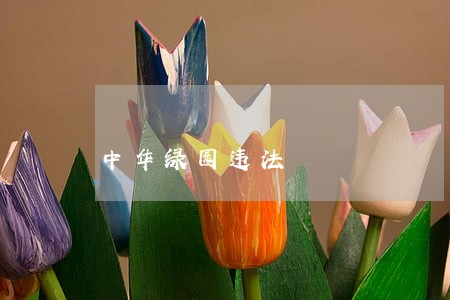 中华绿园违法 中华绿园违法