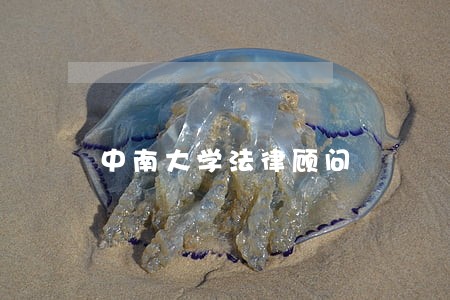中南大学法律顾问 中南大学法律顾问