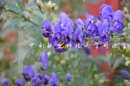 中南林业科技大学司法学院 中南林业科技大学司法学院