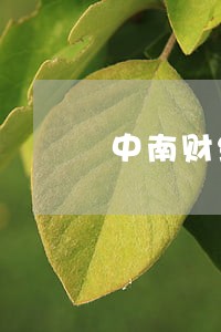 中南财经政法大学刑法书目 中南财经政法大学刑法书目