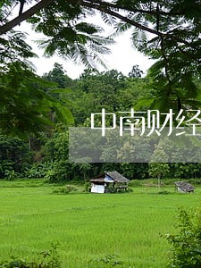 中南财经政法大学刑法分数线