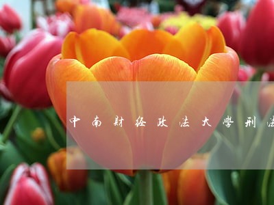 中南财经政法大学刑法导师秦 中南财经政法大学刑法导师秦