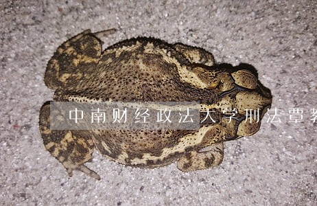 中南财经政法大学刑法覃教授 中南财经政法大学刑法覃教授