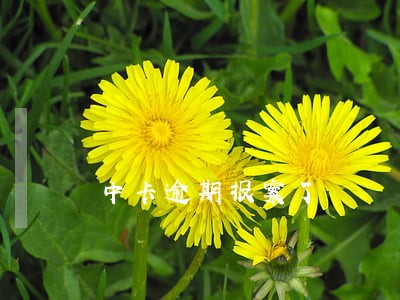 中卡逾期报案了