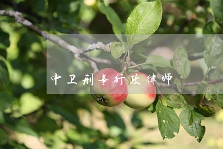 中卫刑事行政律师 中卫刑事行政律师