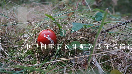 中卫刑事诉讼律师免费在线咨询 中卫刑事诉讼律师免费在线咨询