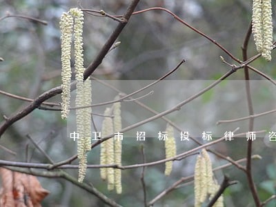 中卫市招标投标律师咨询电话 中卫市招标投标律师咨询电话