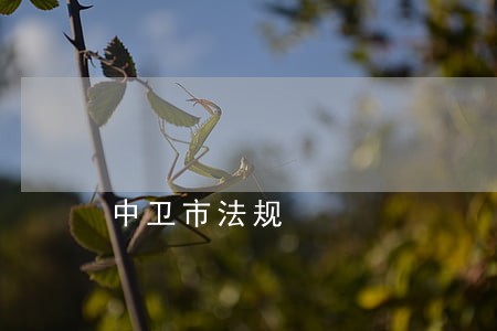 中卫市法规 中卫市法规