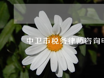 中卫市税务律师咨询电话 中卫市税务律师咨询电话