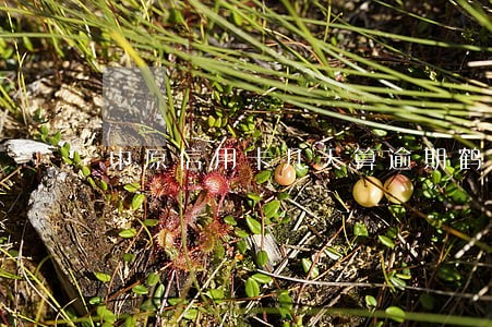 中原信用卡几天算逾期鹤壁