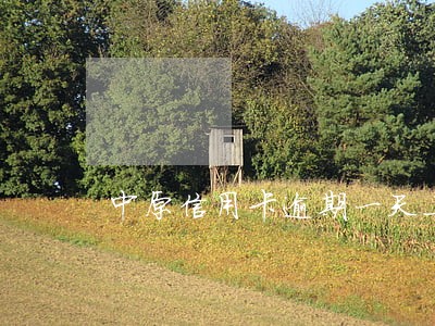 中原信用卡逾期一天上征信不 中原信用卡逾期一天上征信不
