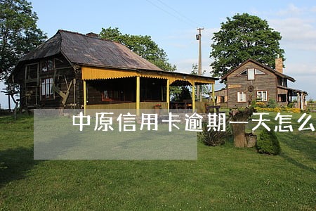 中原信用卡逾期一天怎么办 中原信用卡逾期一天怎么办