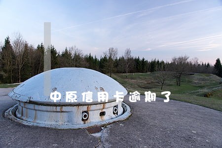 中原信用卡逾期了 中原信用卡逾期了