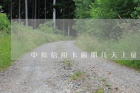 中原信用卡逾期几天上征信 中原信用卡逾期几天上征信