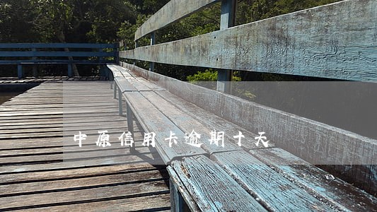 中原信用卡逾期十天 中原信用卡逾期十天