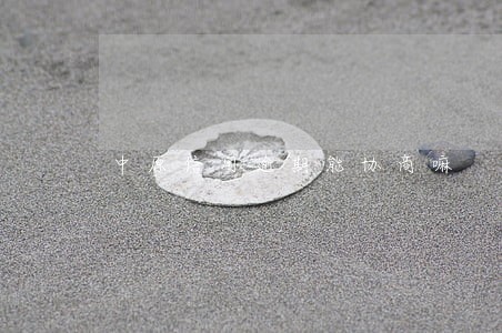 中原信用逾期能协商嘛 中原信用逾期能协商嘛
