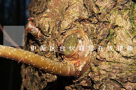 中原区合伙联营在线律师 中原区合伙联营在线律师