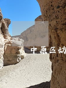 中原区妨碍清算罪律师咨询