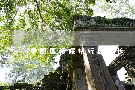 中原区法院执行局局长 中原区法院执行局局长