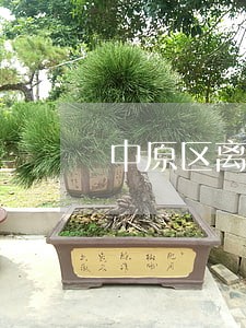 中原区离婚办理程序律师 中原区离婚办理程序律师