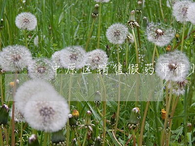 中原区销售假药罪律师咨询
