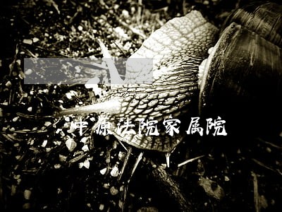 中原法院家属院 中原法院家属院