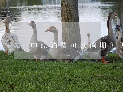 中原消费可以逾期3天 中原消费可以逾期3天