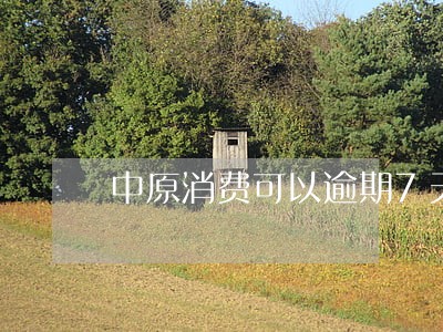 中原消费可以逾期7天会怎么样 中原消费可以逾期7天会怎么样
