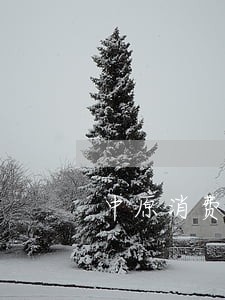 中原消费欠5千逾期两年 中原消费欠5千逾期两年