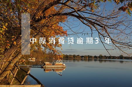 中原消费贷逾期3年 中原消费贷逾期3年