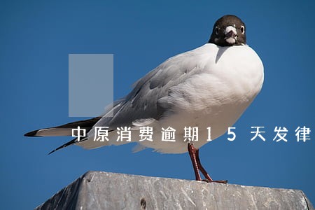 中原消费逾期15天发律师函 中原消费逾期15天发律师函
