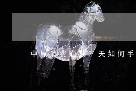 中原消费逾期2天如何手动还款 中原消费逾期2天如何手动还款