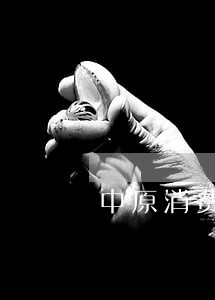 中原消费逾期3年