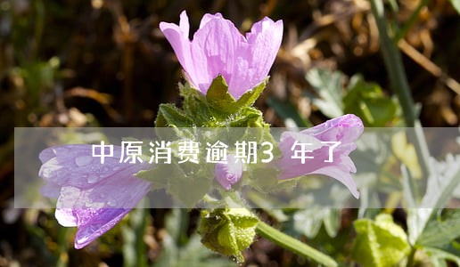 中原消费逾期3年了