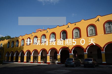 中原消费逾期50天 中原消费逾期50天