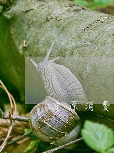 中原消费逾期9天