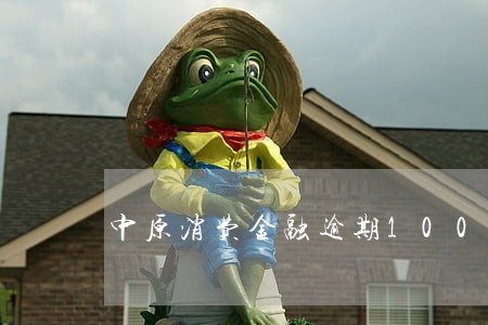 中原消费金融逾期1000