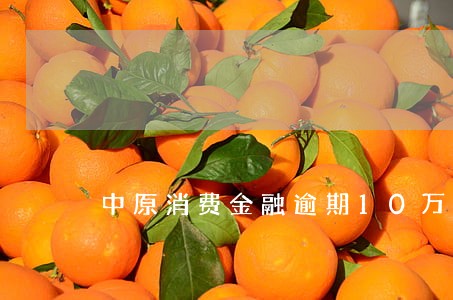 中原消费金融逾期10万后果