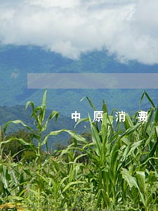 中原消费金融逾期2个月 中原消费金融逾期2个月